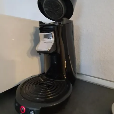 Appartement Lavendel, Ferienwohnung Mit Eigenem Eingang Wie Ein Kleines Haus Bad Salzuflen Exterior photo