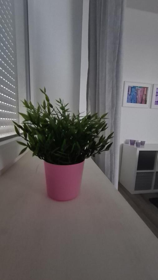 Lavendel, Mit Eigenem Eingang Ein Kleines Haus
